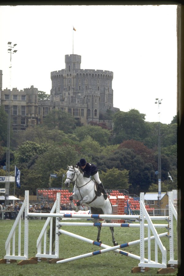 378090 Royal Windsor Horse Show, 1984 A4 Photo Print