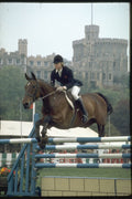 378091 Royal Windsor Horse Show A4 Photo Print