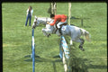 378092 Junior International Showjumping A4 Photo Print