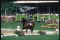 378093 GoodWood Grand Prix Special, 1980 A4 Photo Print