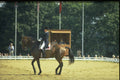 378094 GoodWood Grand Prix Special, 1980 A4 Photo Print