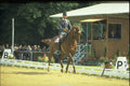 378095 GoodWood Grand Prix Special, 1980 A4 Photo Print