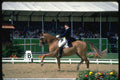 378098 GoodWood Grand Prix Special, 1980 A4 Photo Print