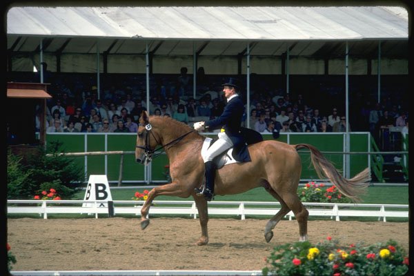 378098 GoodWood Grand Prix Special, 1980 A4 Photo Print