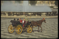 379000 Sightseeing By Horse And Buggy A4 Photo Print