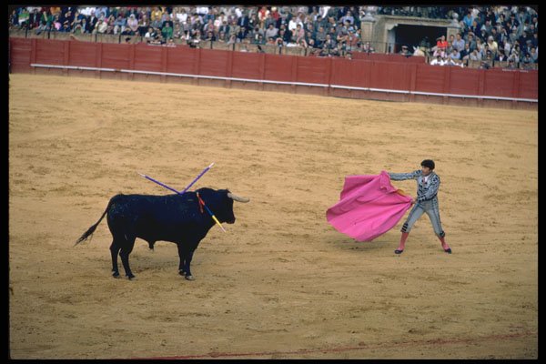 379018 Bullfighting In Seville A4 Photo Print