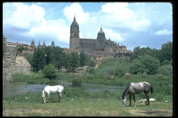 379039 Roman Bridge, Salamanca A4 Photo Print