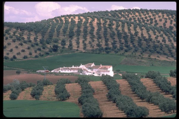 379069 Farm Estate, Laujar A4 Photo Print