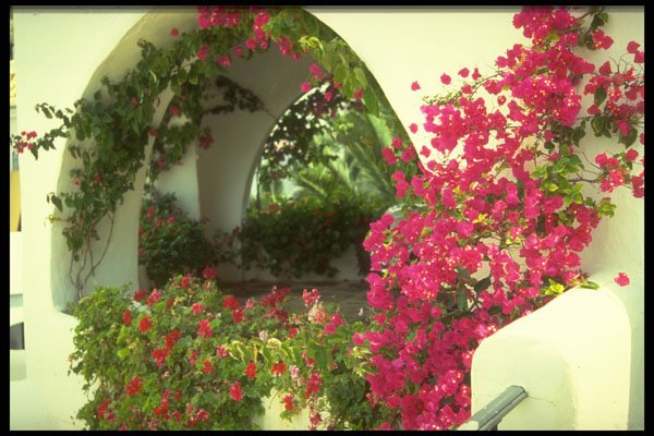 379071 Casa Car Port, Moraira, Costa Blanca A4 Photo Print