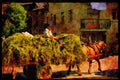 379088 Pyrenees Farmer A4 Limited Edition Watercolour Print