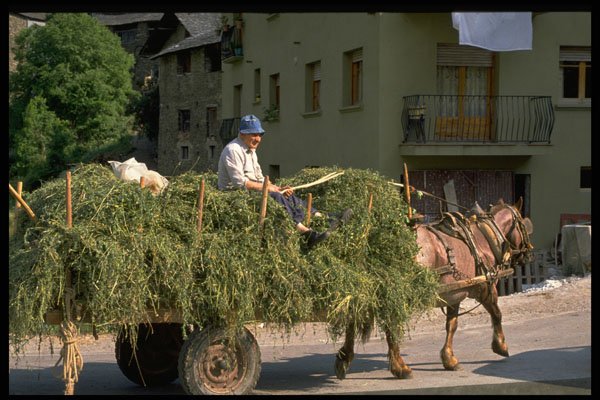 379088 Pyrenees Farmer A4 Photo Print
