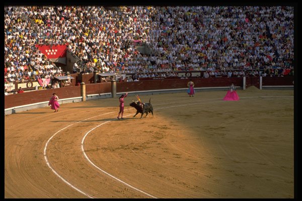 379092 Bullfight, Las Ventas, Madrid A4 Photo Print