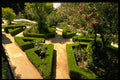 379093 Generalife Gardens, Alhambra, Granada A4 Photo Print