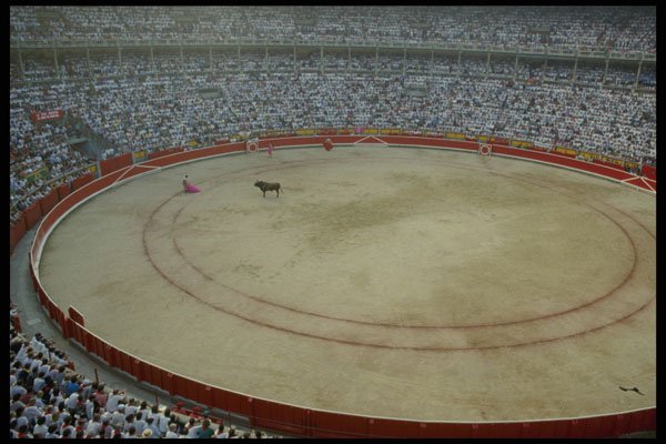 379099 Bullring, Pamplona A4 Photo Print