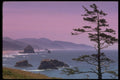 380000 Oregon Coast, Ecola State Park, Oregon A4 Photo Print