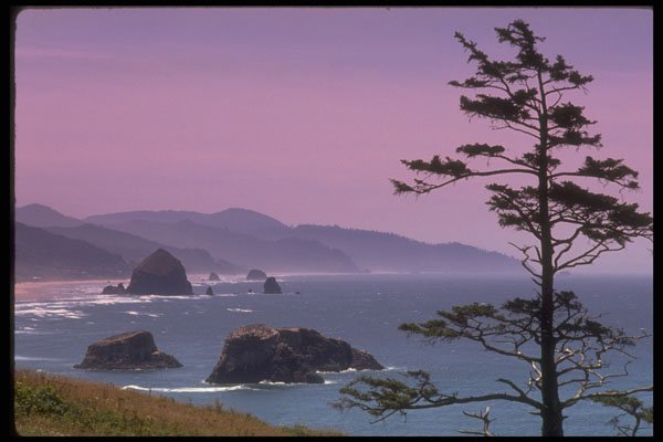 380000 Oregon Coast, Ecola State Park, Oregon A4 Photo Print