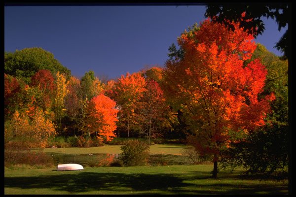 380004 Autumn Landscape, New England A4 Photo Print