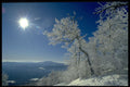 380005 Winter Landscape, New England A4 Photo Print