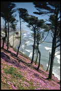 380013 Sloping Hill, California A4 Photo Print