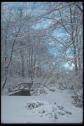 380022 Small Bridge In Winter, New England A4 Photo Print
