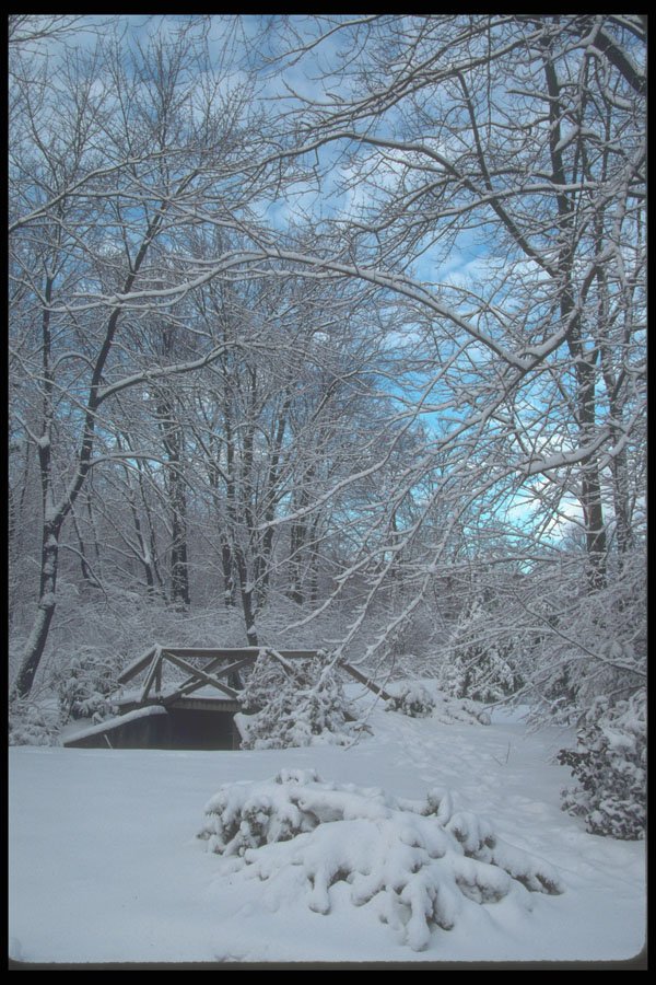 380022 Small Bridge In Winter, New England A4 Photo Print