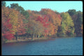 380023 Colorful Trees By A Lake, New England A4 Photo Print