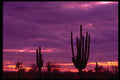 380051 Sunset, Scottsdale, Arizona A4 Photo Print