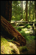 380064 Solduc, Washington A4 Photo Print