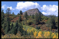 380072 Aspens, Colorado Rockies A4 Photo Print