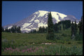 380073 Mt. Rainer, Washington A4 Photo Print