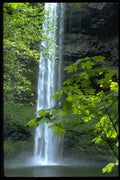 380084 Silver Falls State Park, Oregon A4 Photo Print