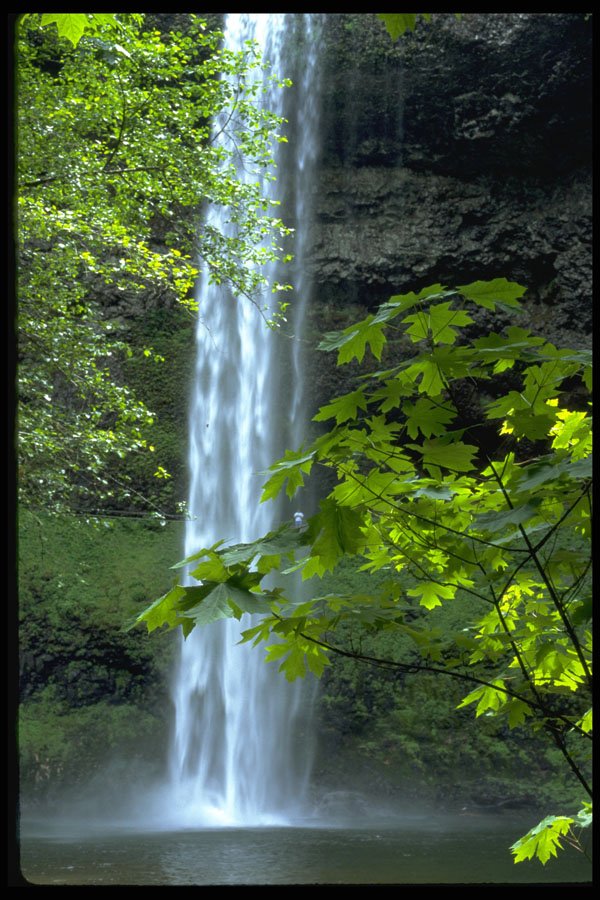 380084 Silver Falls State Park, Oregon A4 Photo Print