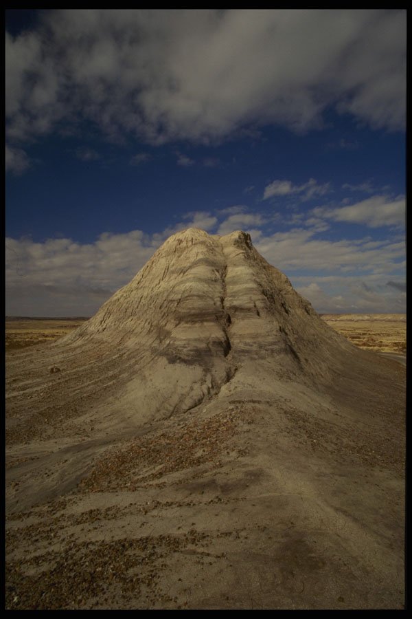 380090 Close up Of Mound, Long Logs Area, Arizona A4 Photo Print
