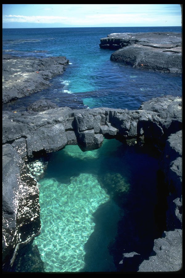 381016 Seal Grotto, James Island, Galapagos Islands A4 Photo Print