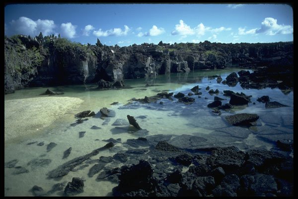 381020 Tower Island Tide Pools, Galapagos Islands A4 Photo Print