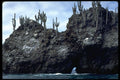 381024 South Plaza Islands, Devil's Crown, Galapagos Islands A4 Photo Print