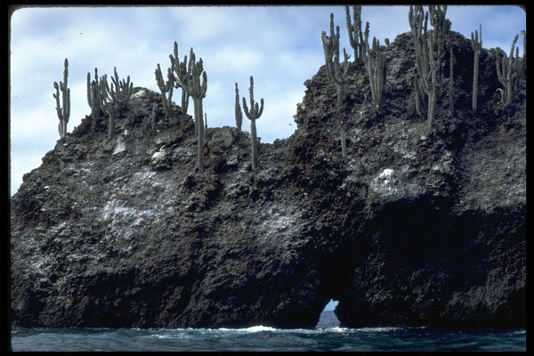 381024 South Plaza Islands, Devil's Crown, Galapagos Islands A4 Photo Print