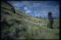 381027 Rano Raraku, Path With Moai , Easter Island A4 Photo Print