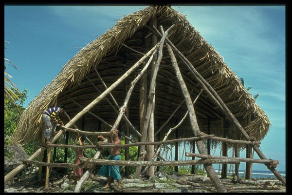 381034 Making A New Home, Western Samoa A4 Photo Print