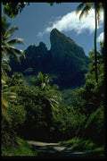 381036 Palm Trees And Mountain, Bora Bora, Tahiti A4 Photo Print