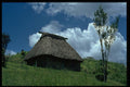 381047 Native House, Fiji A4 Photo Print