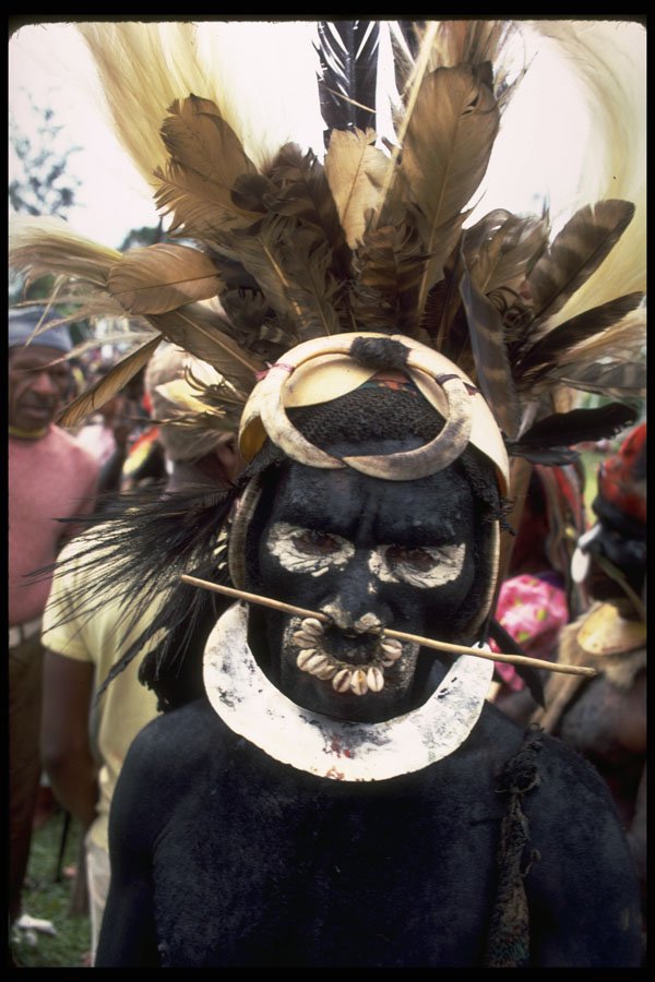 381065 Minj Sing sing Man With Tusks, Shells And Stick, New Guinea A4 Photo Print