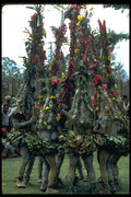 381066 Minj Sing sing Group With Plant Costumes, New Guinea A4 Photo Print