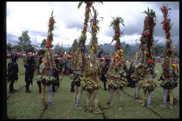 381067 Minj Sing sing Plant Costume People, New Guinea A4 Photo Print