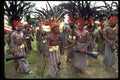 381068 Minj Sing sing Group With Kundu Drums, New Guinea A4 Photo Print