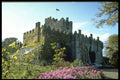 382012 Bargey Castle, Ireland A4 Photo Print