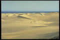 383014 Sand Dunes, Gran Canaria, Playa Del Ingles, Spain A4 Photo Print