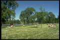 383048 Regent's Park, London, England A4 Photo Print