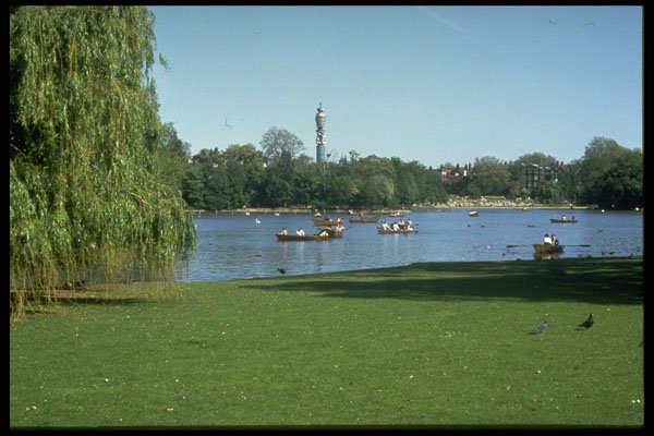 383070 Regent's Park, London, England A4 Photo Print
