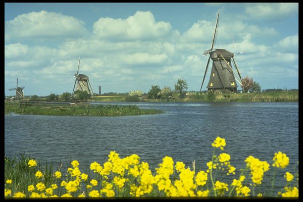 383077 Kinderdijk Windmills Near Rotterdam, Netherlands A4 Photo Print